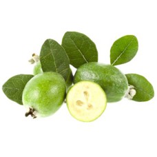 Саджанці фейхоа Бессон - 1-річний