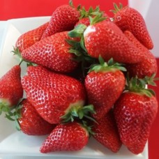 Саджанці полуниці Бріла (10 штук) - 1-річний Саджанці полуниці Бріла (10 штук) - 1-річний