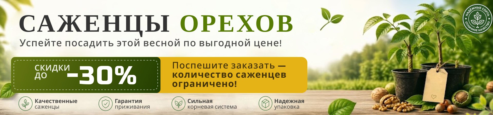 Скидки орехи