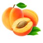 Саджанці абрикоса (50)