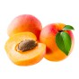 Саджанці колоноподібного абрикосу (3)