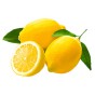 Саджанці лимона (5)