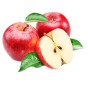 Саджанці яблуні (101)